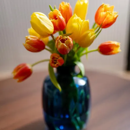 Easy Rent - Lubartowska 11 Lublin