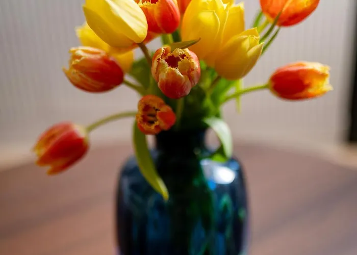 Easy Rent - Lubartowska 11 Lublin